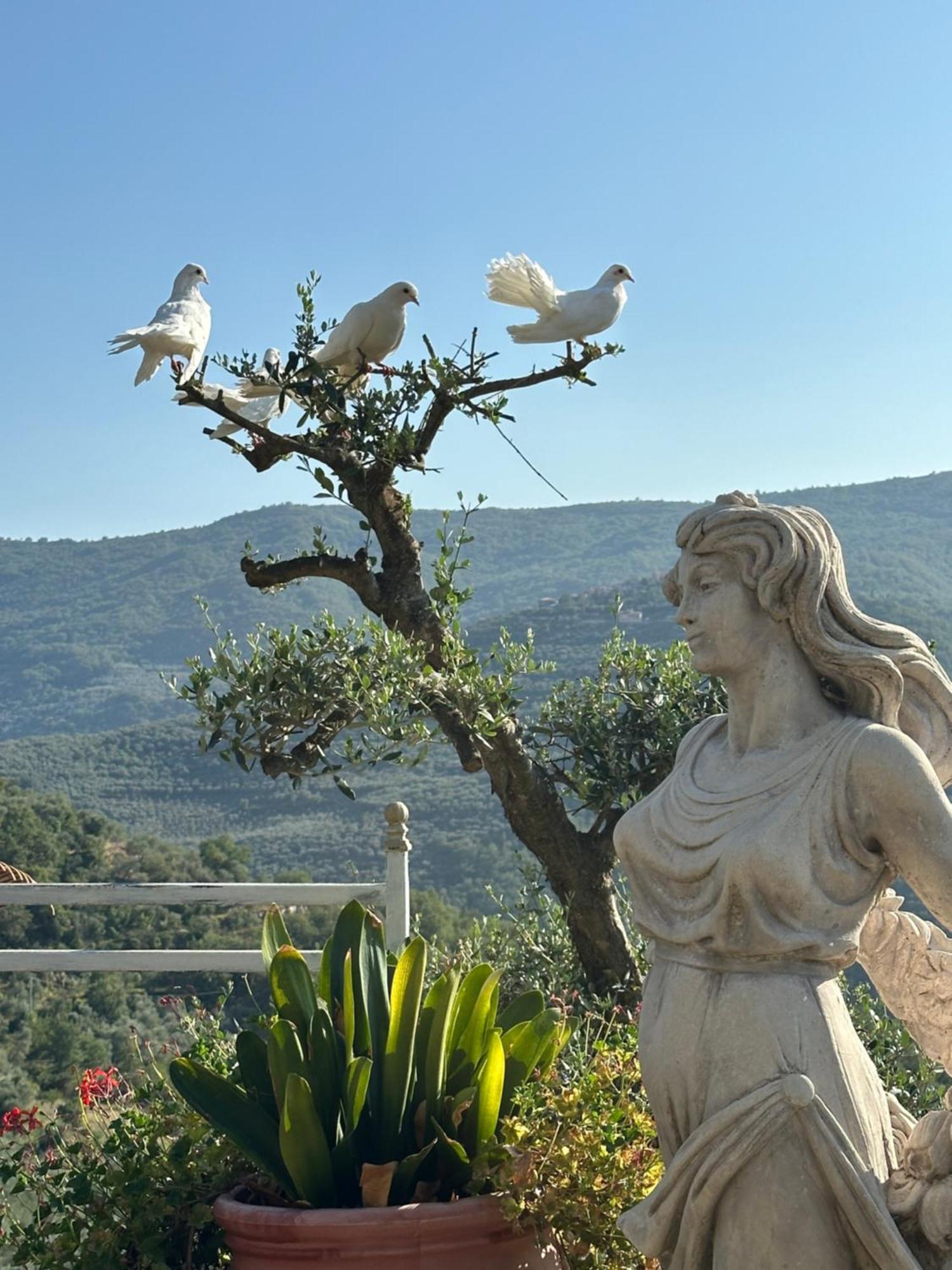 Villa Anna Torria 外观 照片