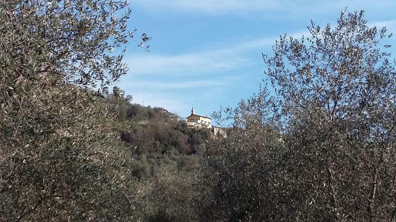 Villa Anna Torria 外观 照片