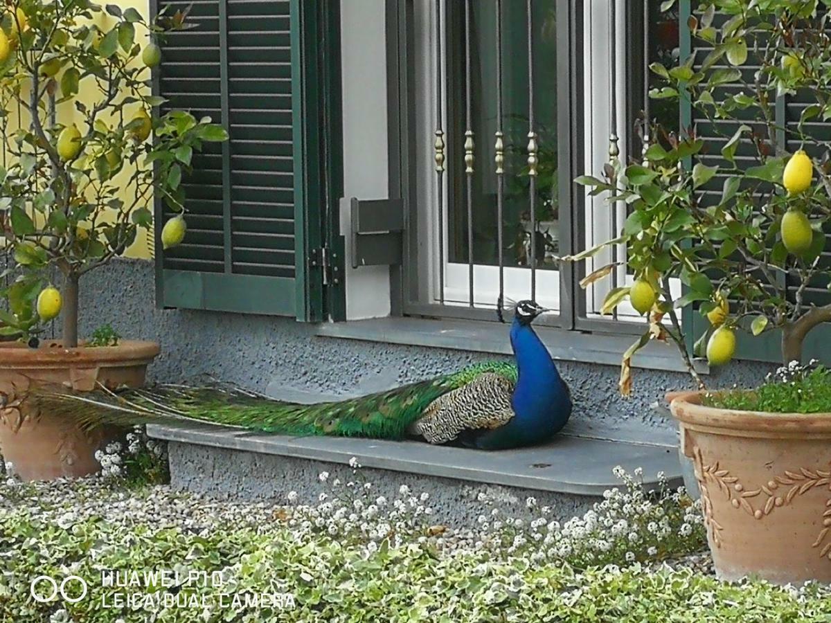 Villa Anna Torria 外观 照片